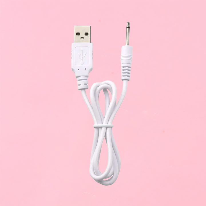 Spare Charging Cable