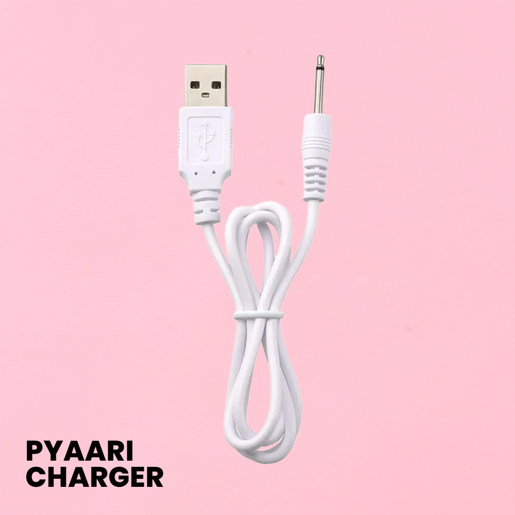Spare Charging Cable Leezu's