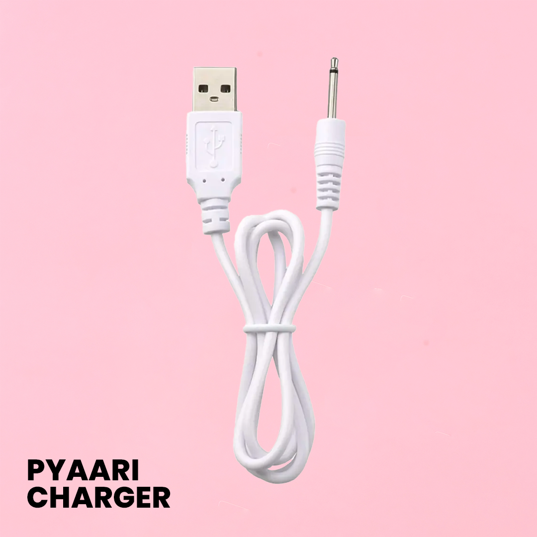 Spare Charging Cable Leezu's